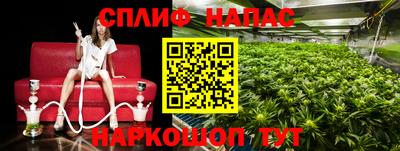 метадон Жуковский