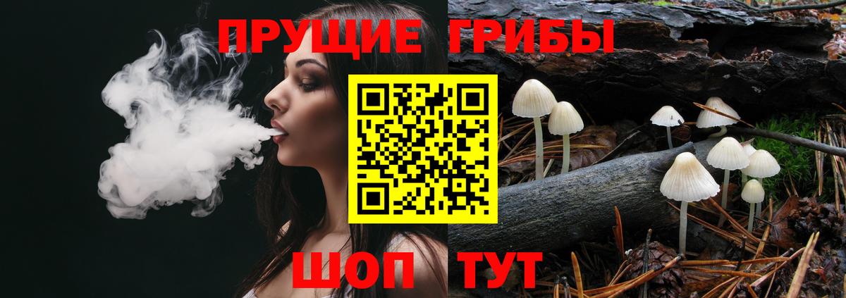 купить наркотики сайты  Вход с VPN  Урус-Мартан  Галлюциногенные грибы MAGIC MUSHROOMS 