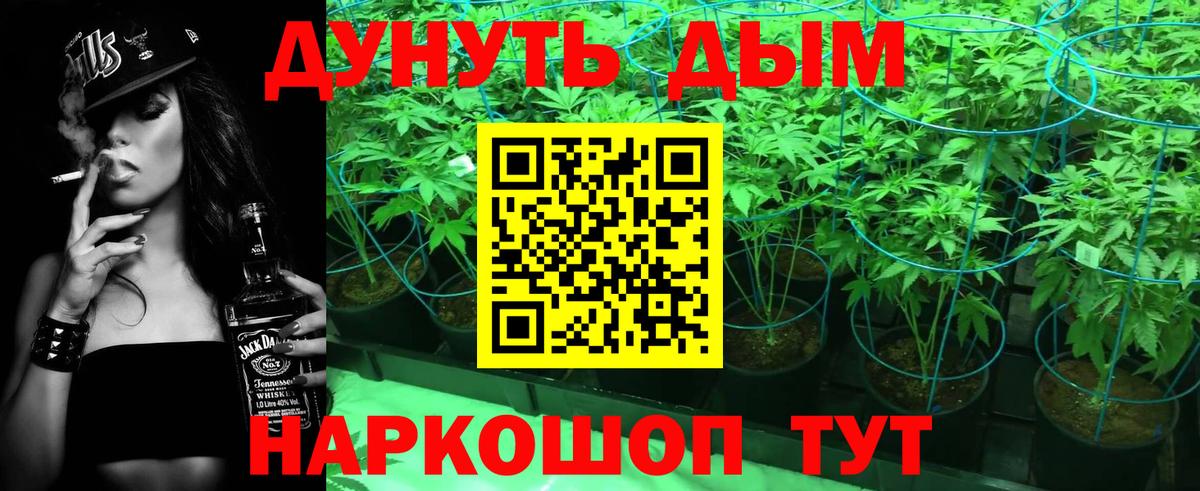 Бошки Шишки индика  Вход с VPN  Марихуана планчик  Бошки марихуана планчик  Урус-Мартан  Марихуана Ganja 